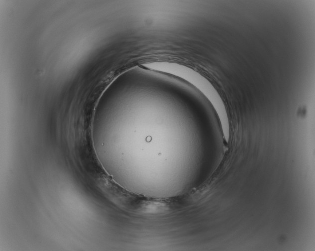 X0000111240572200907091402