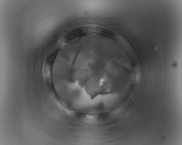 X0000111240573200907091402