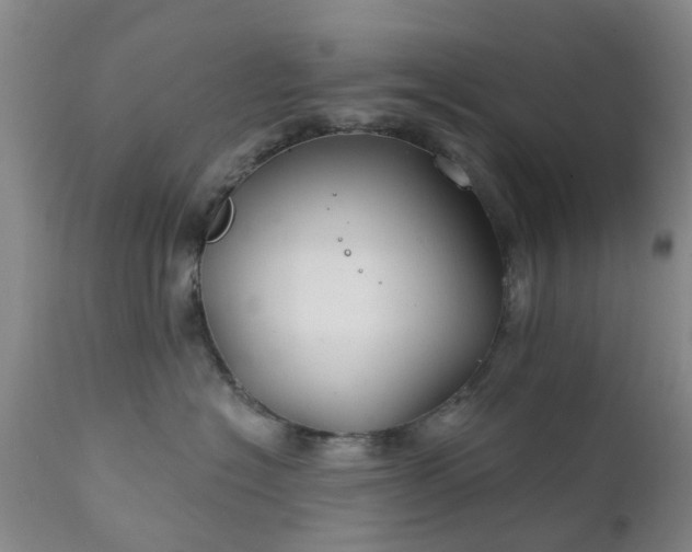 X0000111240574200907091402