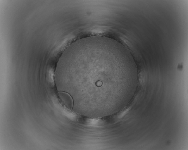 X0000111240575200907091402