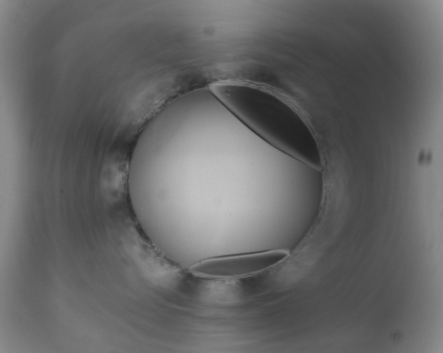 X0000111240576200907091402