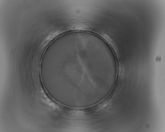 X0000111240577200907091401