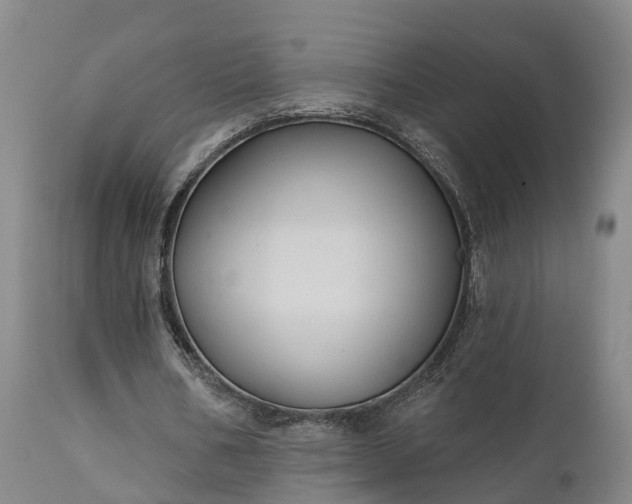 X0000111240578200907091401