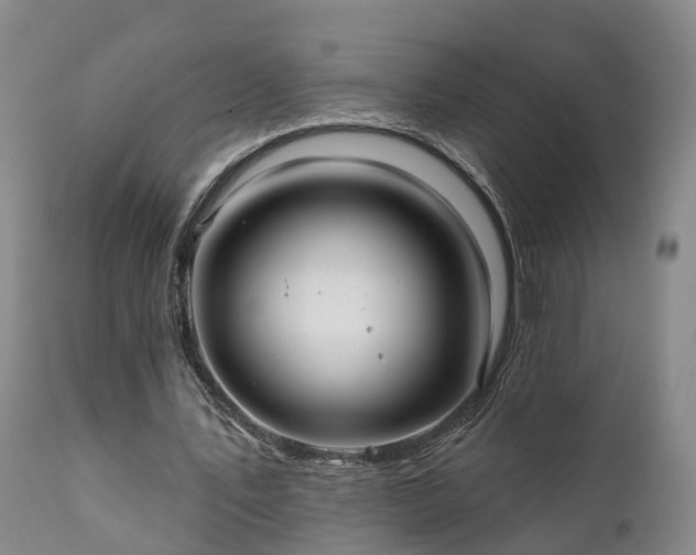 X0000111240579200907091401