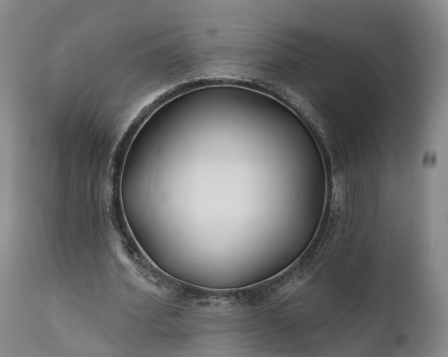 X0000111240580200907091401