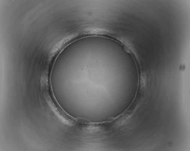 X0000111240581200907091401