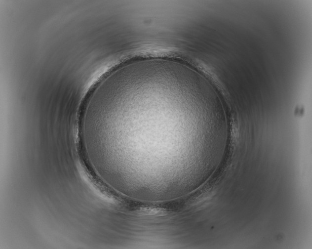 X0000111240582200907091401