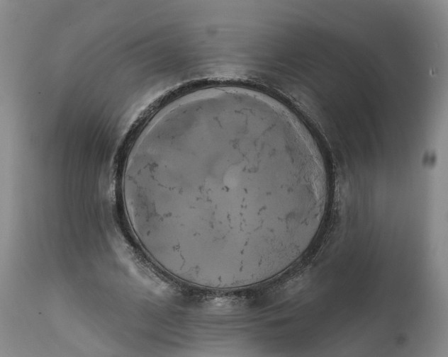 X0000111240584200907091401