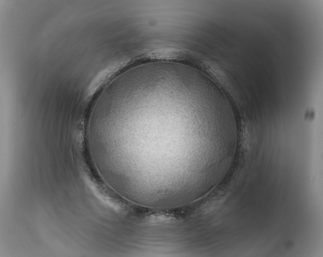 X0000111240586200907091401