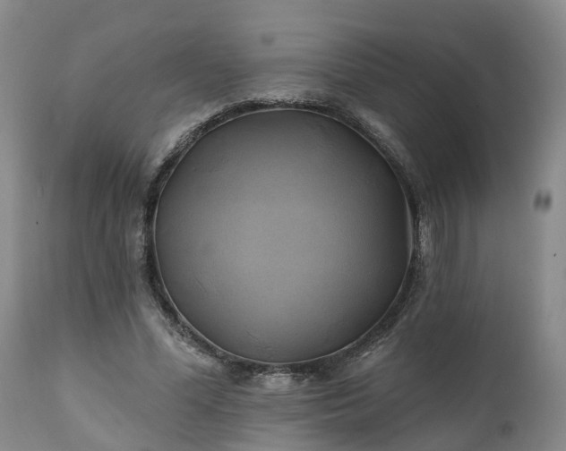 X0000111240588200907091401