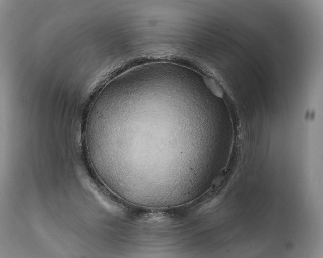 X0000111240589200907091401