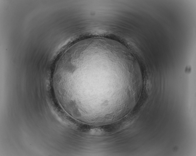 X0000111240591200907091401