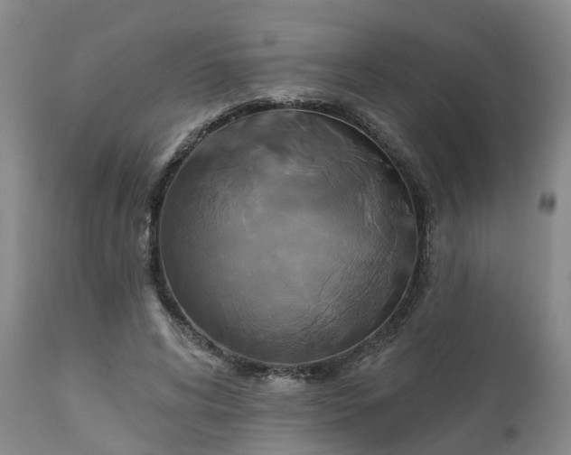 X0000111240592200907091401