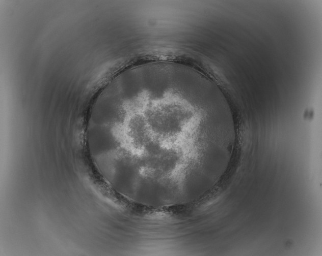 X0000111240594200907091401