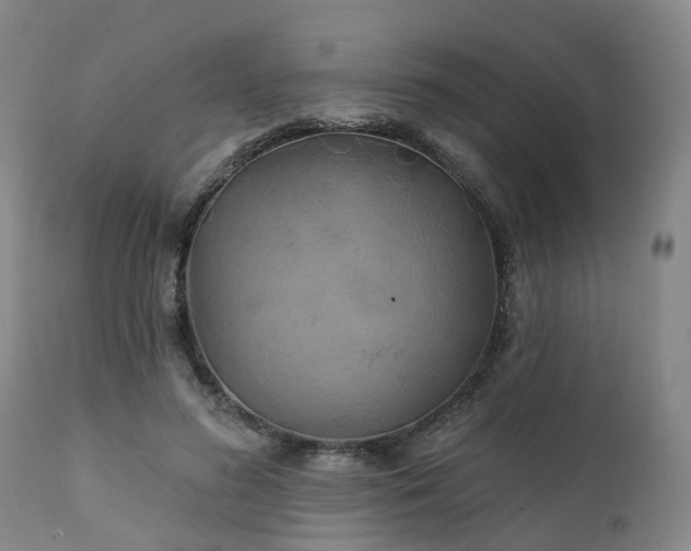 X0000111240596200907091401