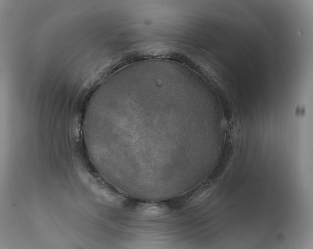 X0000111240597200907091401