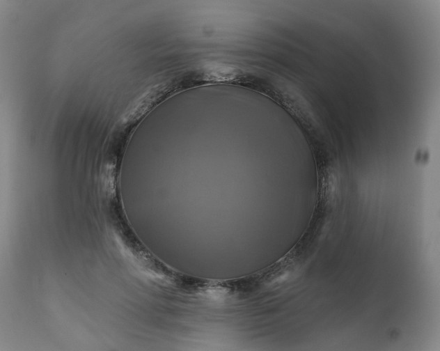 X0000111240598200907091401