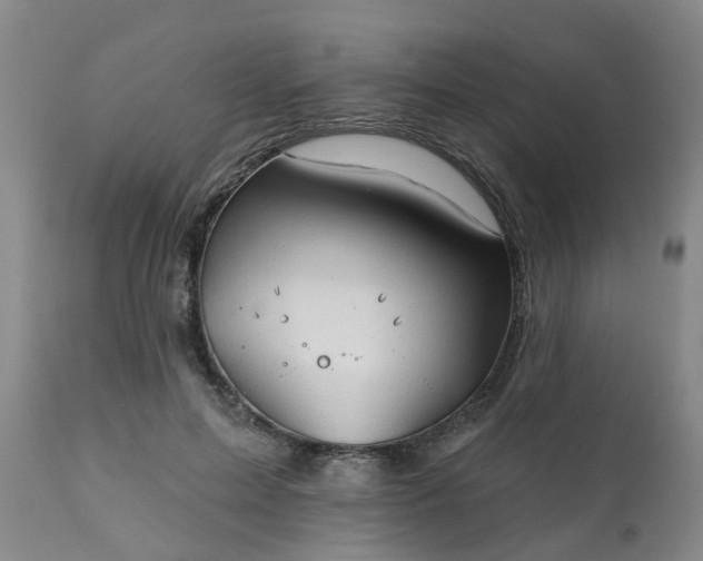 X0000111240599200907091401