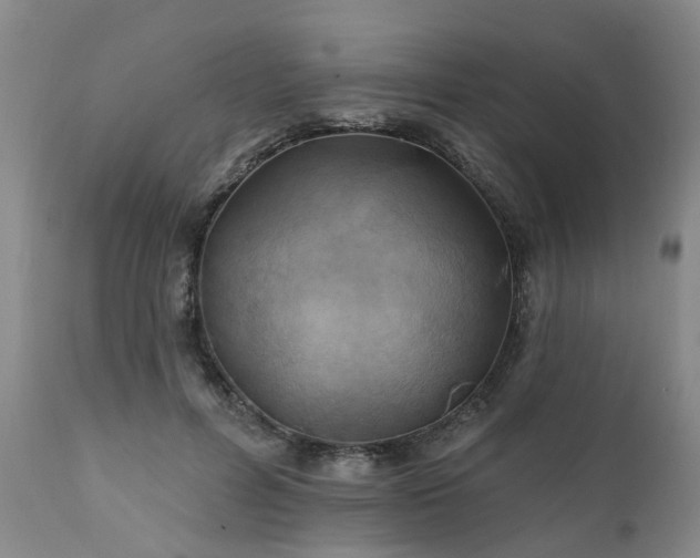 X0000111240600200907091401