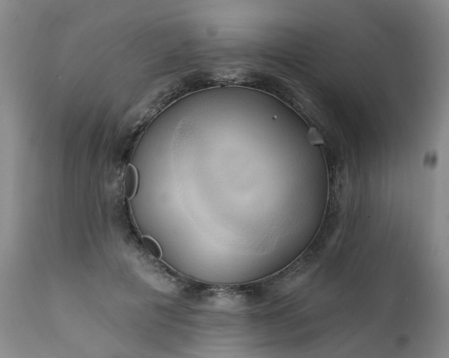 X0000111240601200907091401