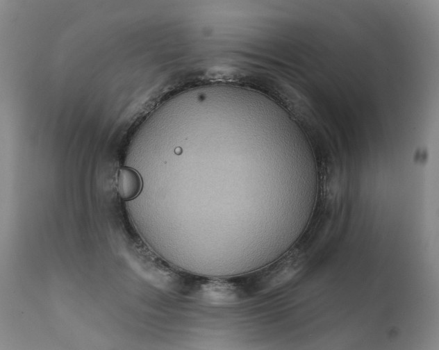 X0000111240603200907091401