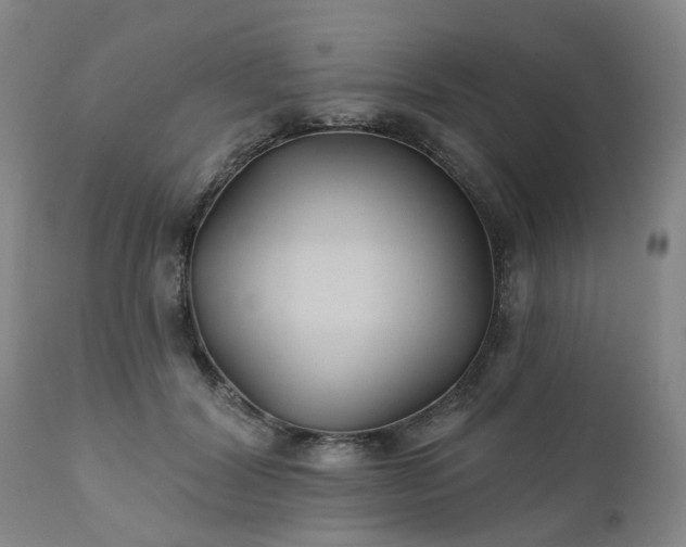 X0000111240604200907091401