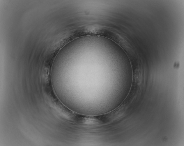 X0000111240605200907091401