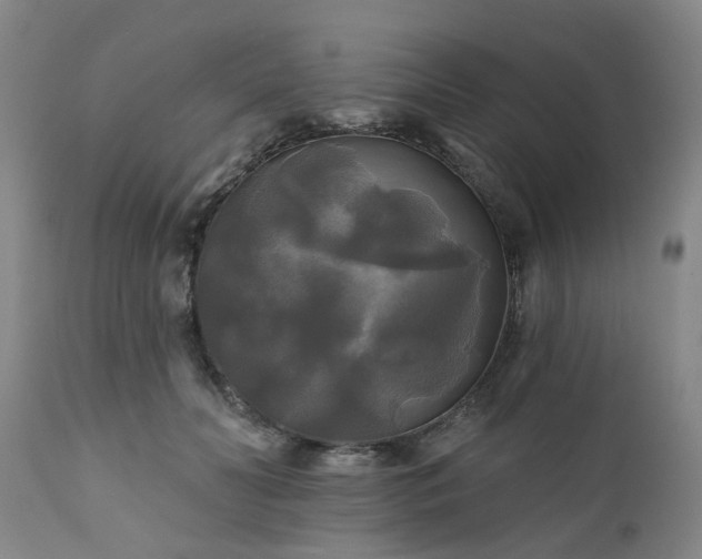 X0000111240606200907091401