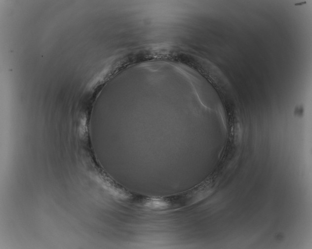 X0000111240610200907091401