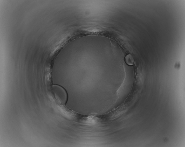 X0000111240612200907091401