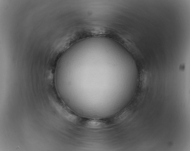 X0000111240614200907091401