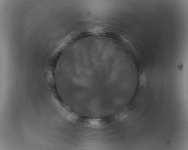 X0000111240618200907091401