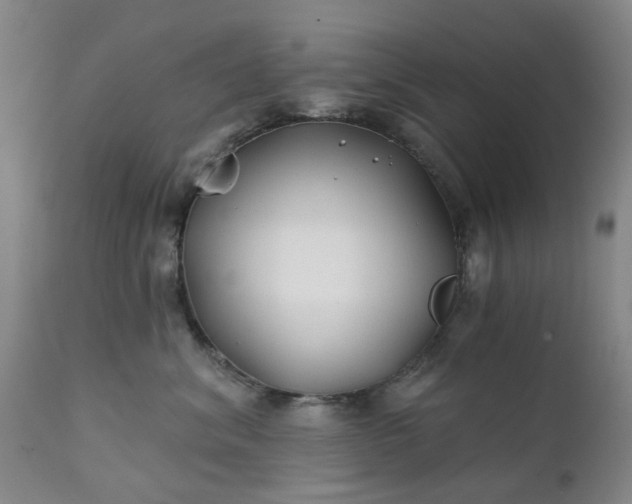 X0000111240620200907091401