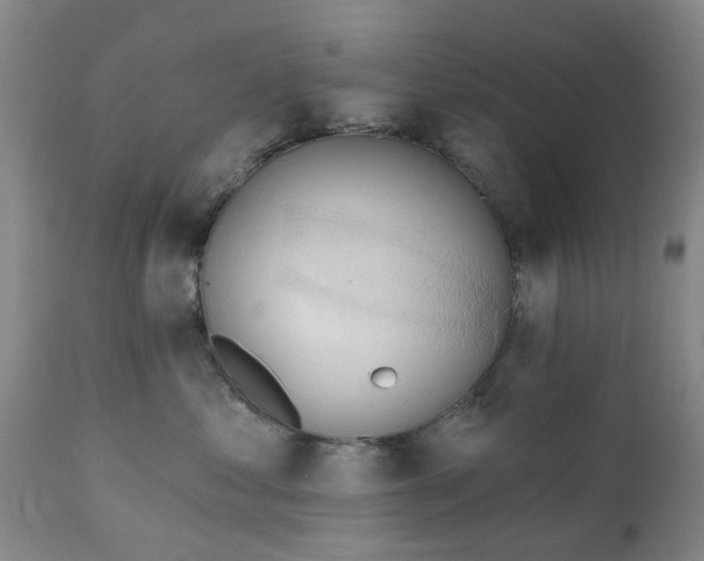 X0000111240621200907091401