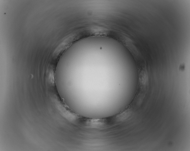 X0000111240622200907091401