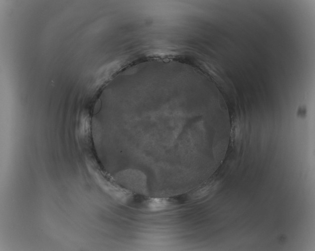 X0000111240623200907091401