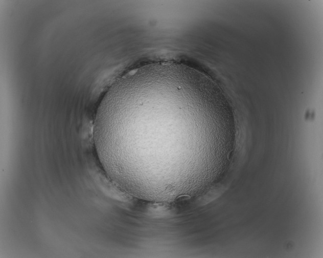 X0000111240624200907091401