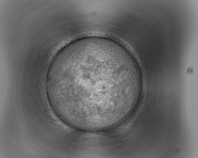 X0000111240625200907091400