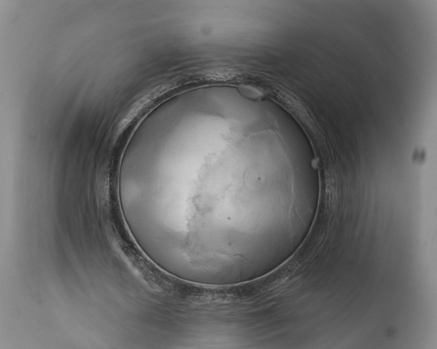 X0000111240626200907091400