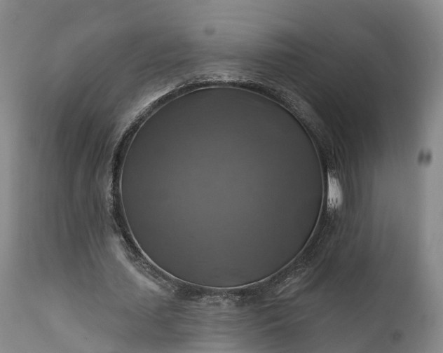 X0000111240627200907091400