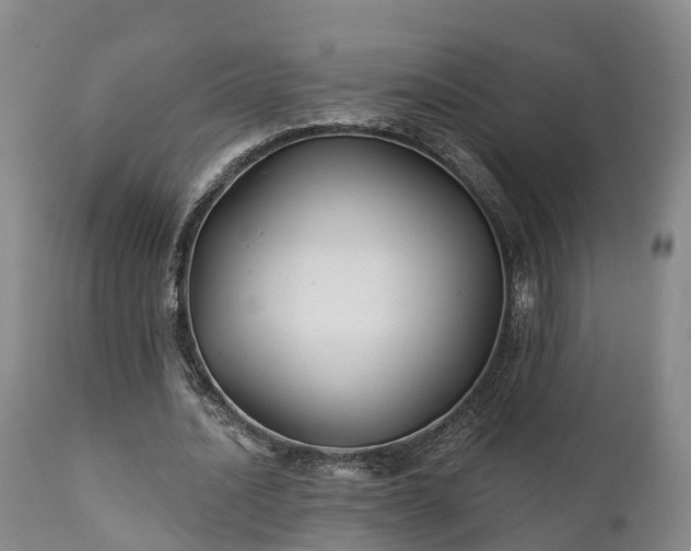 X0000111240628200907091400