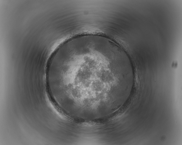 X0000111240630200907091400