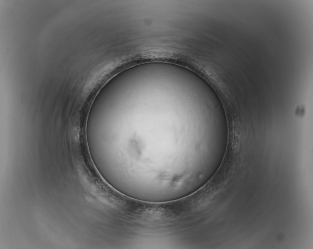 X0000111240631200907091400