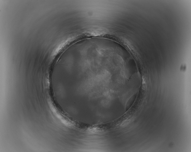 X0000111240634200907091400