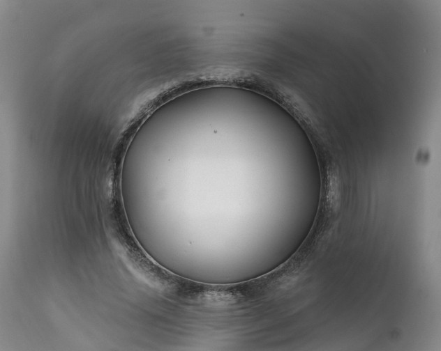 X0000111240636200907091400