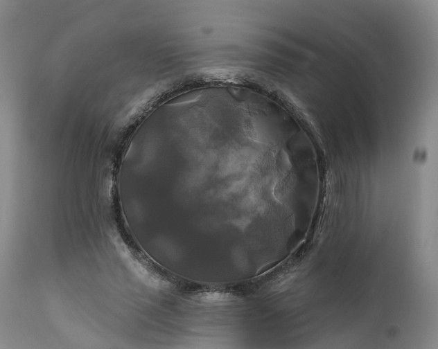 X0000111240637200907091400