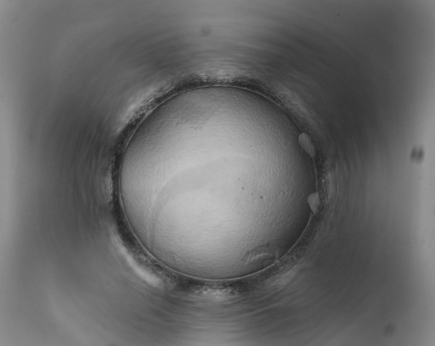 X0000111240638200907091400