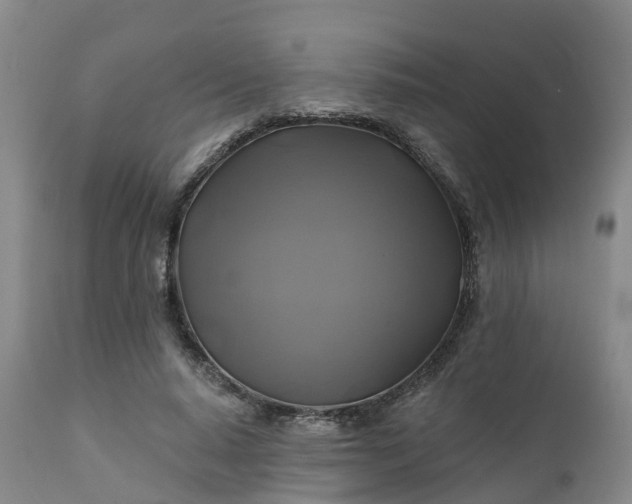 X0000111240640200907091400