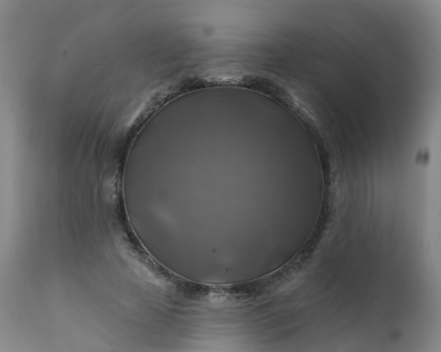 X0000111240641200907091400