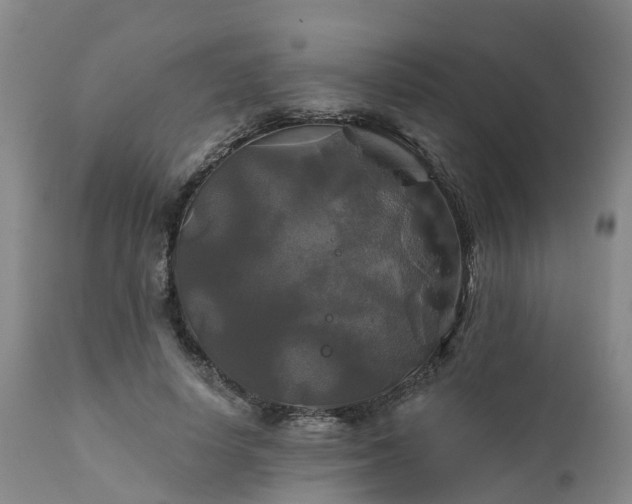 X0000111240642200907091400